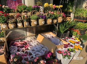 太喜欢逛花市了，不管是多肉、盆栽还是鲜切花都让我心动