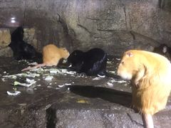 -泉城欧乐堡海洋极地世界