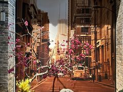 -老伙记海鲜码头(北滘店)