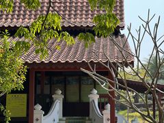 -东莞植物园