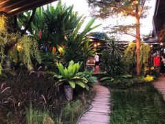 -Ohkajhu Organic Farm Sansai