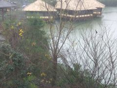 -咸宁万豪温泉谷度假区