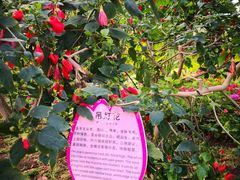 -长春农博园