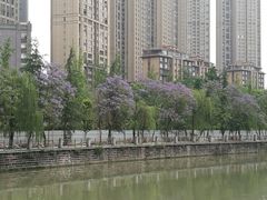 -成都市活水公园
