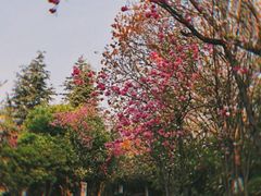 -月牙潭公园