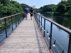 -济州森林小火车生态公园