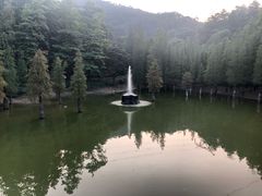 -广州市帽峰山景区