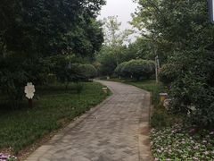 -唐城墙遗址公园