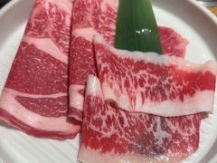 -和牛放题的殿堂 肉屋横丁(秋叶原店)