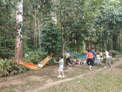 -南国桃园旅游度假区