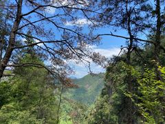 -刘伯温故里景区百丈漈