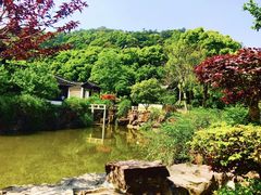 -灵岩山风景区