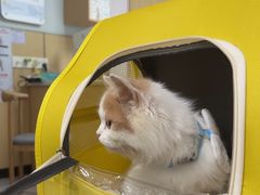 -瑞派蒂凯宠物医院·免疫点·宠保定点