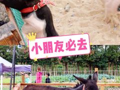 -前小桔亲子创意农场·草莓采摘·露营烧烤