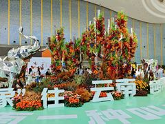 -昆明滇池国际会展中心
