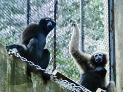 -昆明动物园