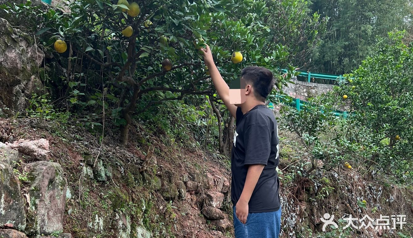 拥抱自然的一天