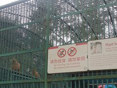 -秦皇岛野生动物园