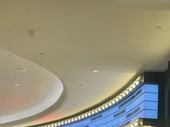 -CGV影城(壹方城IMAX店)