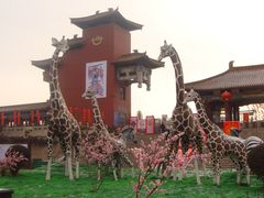 门面-太原动物园