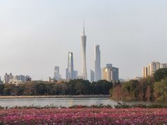 -海珠湖公园