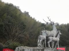 -长沙黑麋峰国家森林公园