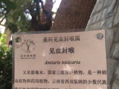 -北京植物园-展览温室