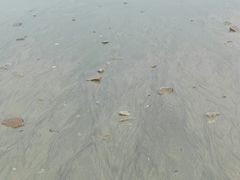 -沙扒湾