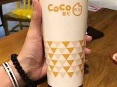 布丁奶茶-CoCo都可(合生汇店)