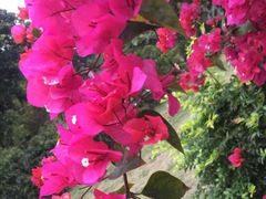 -华南国家植物园-售票处