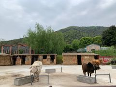 -无锡动物园·太湖欢乐园
