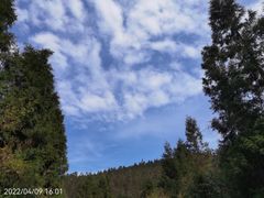-武陵山森林公园