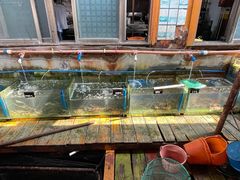 -蓝湾碧波·老字号·疍家非遗海上餐厅