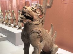 -安阳博物馆