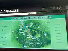 -宜兴龙背山森林公园