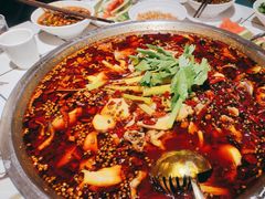 -蛙一刀·麻椒鱼火锅(金仙桥店)