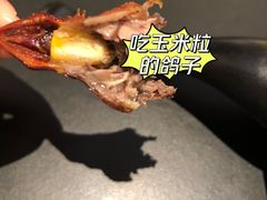 玻璃脆皮乳鸽-羽鸽集·乳鸽专门店·地道顺德菜(岭南站店)