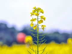 -铜锣山矿山公园