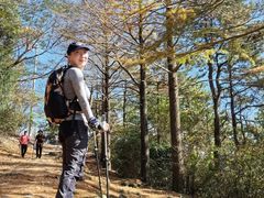 -四明山国家森林公园