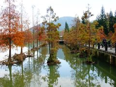 -田野绿世界