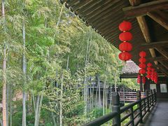 -大唐贡茶院