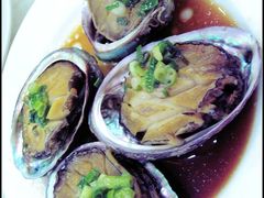 海岛渔村-鲍鱼-海岛渔村大酒店(云霄路店)
