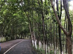 -艾溪湖湿地公园