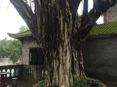 -东莞市可园博物馆