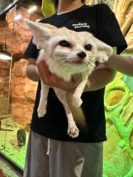 -Zoolung Zoolung动物主题公园(海信广场店)