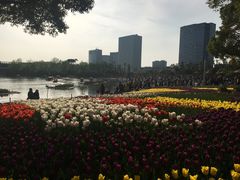 -大宁灵石公园西门票处