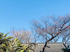 -济南大明湖景区