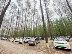 -黄海国家森林公园