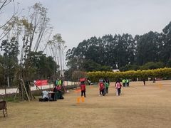 -三圣花乡旅游区