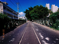 -三垟湿地